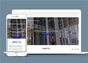 项目产品解决方案HTML网页模板下载 - 项目资源网