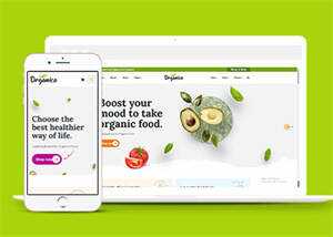 蔬菜水果商店网站响应式模板下载 - 项目资源网