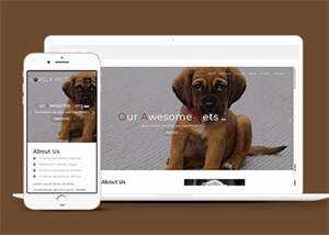 简洁宠物饲养单页HTML模板下载 - 项目资源网