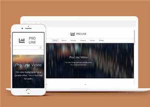 简洁专业服务信息在线响应式网页模板下载 - 项目资源网