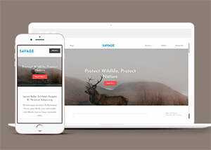保护野生动物响应式网站模板下载 - 项目资源网