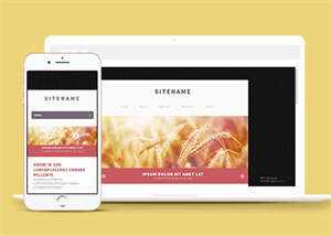 宽屏粉色个人博客主页网站模板 - 项目资源网