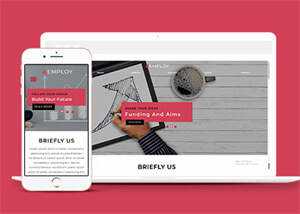 网站运营数据指标网站模板下载 - 项目资源网