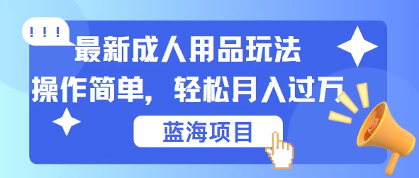 最新成人用品项目玩法，操作简单，蓝海项目轻松月入过万 - 项目资源网