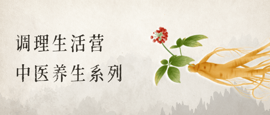 调理生活营：中医养生系列 - 项目资源网