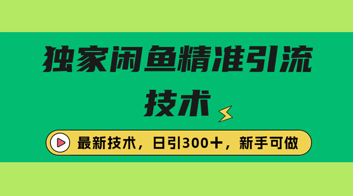 独家闲鱼引流技术，日引 300+ 实战玩法 - 项目资源网