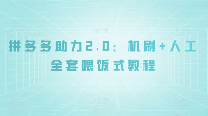 拼夕夕助力 2.0 新玩法：机刷+人工全套交付，喂饭式教程 - 项目资源网