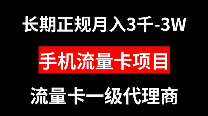 手机流量卡代理月入 3000-3w 长期正规项目 - 项目资源网