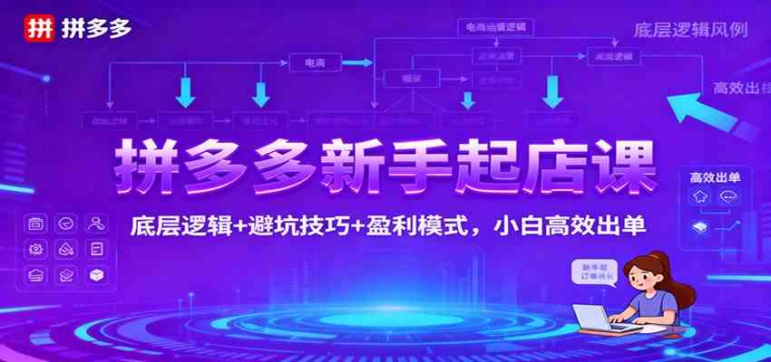 拼多多新手起店课：底层逻辑+避坑技巧+盈利模式，小白高效出单 - 项目资源网