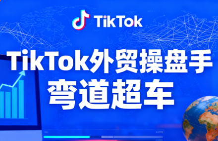 TikTok外贸操盘手(更新11月) - 项目资源网