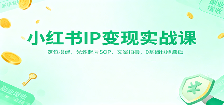 小红书IP变现实战课：定位搭建，光速起号SOP，文案拍摄，0基础也能赚钱 - 项目资源网