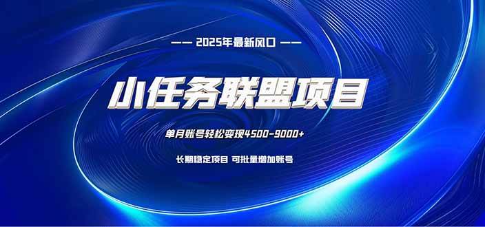 （16521期）小任务联盟项目：一台电脑每天只需10分钟，轻松简单稳定 - 项目资源网