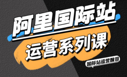 醒目老师·阿里国际站运营系列课(更新11月) - 项目资源网