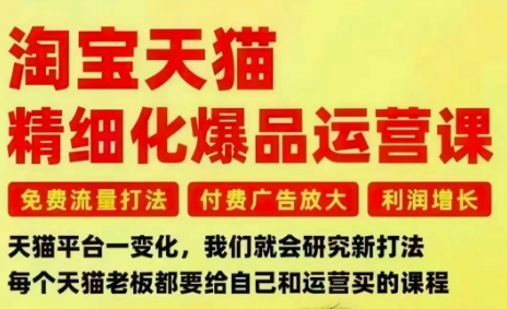 淘宝天猫精细化爆品运营课，免费流量打法-付费广告放大-利润增长-三大核心痛点，一次全部解决 - 项目资源网