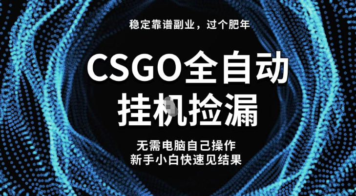 【稳定副业】全球最热门游戏CSGO全自动捡漏，最新玩法，新手小白日入5张+【揭秘】 - 项目资源网
